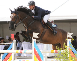 Der neue Star von Holger Wulschner - mit dem achtjährigen Cavity G platzierte sich  Holger Wulschner in zwei 1,60m Springen weit vorn und wurde im Großen Preis Siebter. Fotos: Jutta Wego